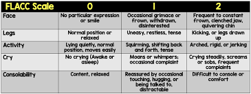 Image result for FLACC Scale