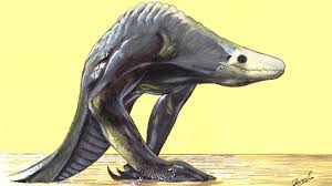 I hope everyone enjoy it and plz leave a like and a comment. Speed Drawing Skullcrawler Kong Skull Isand Dibujando Al Skull Crawler Youtube