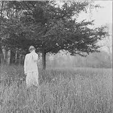 4.8 out of 5 stars 245 ratings. Folklore Taylor Swift Album Taylor Swift Photoshoot Taylor Swift