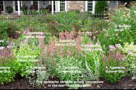 Maybe you would like to learn more about one of these? Drought Tolerant Garden Designs Australia