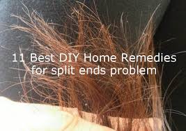 Lace your fingers through your hair. 11 Best Diy Home Remedies To Get Rid Of Split Ends Problem