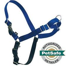 Petsafe Easy Walk Dog Harness Royal Blue Navy X Large
