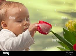 Baby eric hi-res stock photography and images