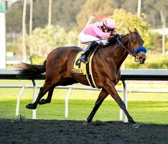 The 2021 kentucky derby is the 147th renewal of the greatest two minutes in sports. Anothertwistafate 2021 Kentucky Derby Oaks April 30 And May 1 2021