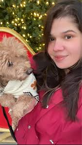 Pet insurance recommendations for yorkies?