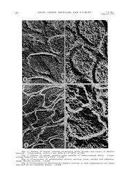 structures that make up the enamel, that is, the prisms, interprismatic  substance, tion was polished to a high finish