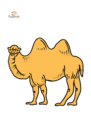 Learn vocabulary, terms and more with flashcards, games and other study tools. Kamel Ausmalbild Kostenlos Online