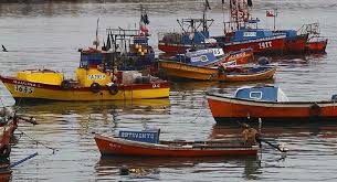 Pescadores De Queule Acusan Incumplimiento De Acuerdos Del Gobierno Noticias Del Sur