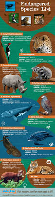 World S Top 10 Endangered Species General Knowledge Mocomi Kids Endangered Species Project Endangered Animals List Endangered Species Art