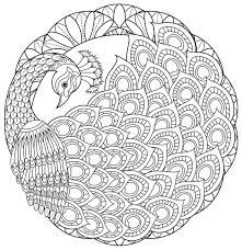 Coloring page of a beautiful peacock. Mandala Art Raskraski Antistress Mandala Coloring Pages Peacock Coloring Pages Peacock Mandala Art