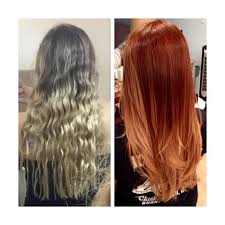 Awesome Argan Hair Color Chart Gallery Chart Design For