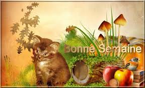 bonne semaine - Page 2