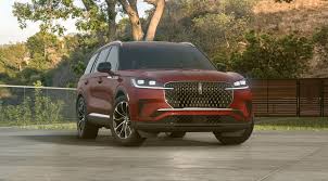 Image result for Red Carpet 2020 Aviator