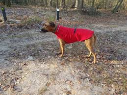Chilly Sweater Fleece Coat All Breed Purrfect Design