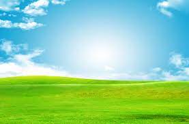 Sky Green Grass Background Green Grass Background Grass Background Photoshop Backgrounds Backdrops