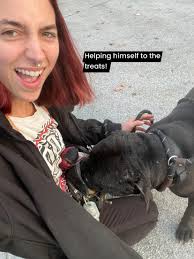 Next up is our CHEWSday duo Emma Tuttle and French Silk Pie Emma says-  French Silk Pie is a classic and sad example of how shelter life can  quickly affect a dog