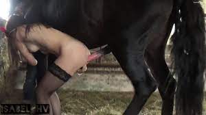 Follando un caballo