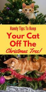 The Ultimate Guide On How To Cat Proof A Christmas Tree Cat Proof Christmas Tree Cat Proofing Cat Christmas Cards