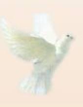 Obituary information for Shirley Jean Turnbow