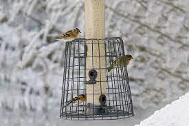 Und an deiner futterstelle lassen sich viele unserer gartenvögel besonders gut beobachten. Praktische Tipps Zum Vogel Futtern Lbv Gemeinsam Bayerns Natur Schutzen