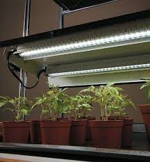 Great customer service · wideband led technology Full Spectrum Led Grow Lights Lee Valley Tools