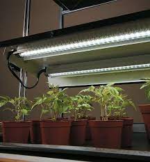 Even so, cfls are better in some situations. Full Spectrum Led Grow Lights Lee Valley Tools