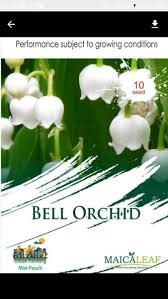 Maybe you would like to learn more about one of these? Bibit Bell Orchid Di Lapak Atalia Shop Bukalapak