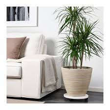 Sandared Pouffe Beige Ikea Ikea Affordable Furniture Furniture