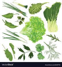 You should be aware that the larger fan leaves can sometimes irritate your mouth or throat. What Plants Have Edible Leaves Quora