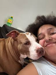 Who has four paws, a heart