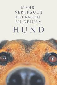 Wie Du Mehr Vertrauen Aufbaust Zu Deinem Hund Hundeschule Hunde Hundetraining
