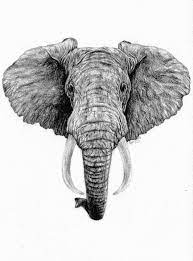 Cool Realistic Grey Elephant Head Tattoo Design Jpg 532 720 Elephant Head Tattoo Elephant Head Drawing Elephant Tattoo Design