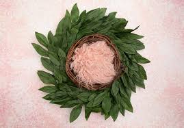 Great advice, tutorials, workshops and courses in shoot planning, essential lighting methods, baby. 2 225 Newborn Backdrop Photos Free Royalty Free Stock Photos From Dreamstime