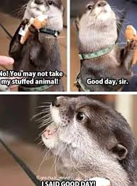 These Memes Tweets Prove Otters Are The Cutest Creature Ever Funny Animal Jokes Funny Animal Memes Cute Funny Animals