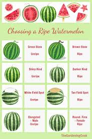 Check spelling or type a new query. Watermelon Varieties Understanding The Different Types Of Watermelons