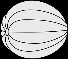 Jpg Black And White Library Melon Drawing Drawing Pic Of Melon Clipart Full Size Clipart 850189 Pinclipart Shop for muskmelon art from the world's greatest living artists. jpg black and white library melon