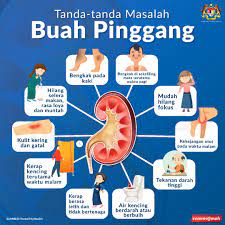 Awak tanya pakar jawab tahap penyakit buah pinggang. Kkmalaysia ×'×˜×•×•×™×˜×¨ 15 Rakyat Malaysia Menghidap Penyakit Buah Pinggang Kronik Pelbagai Peringkat Kebanyakan Mereka Hanya Mengetahui Menghidap Penyakit Itu Apabila Sudah Berada Pada Tahap Serius Kerana Tiada Gejala Peringkat Awal Https T Co