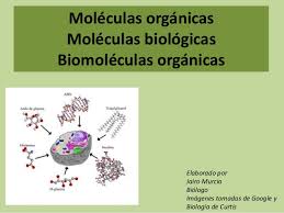 MolÉculas orgánicas