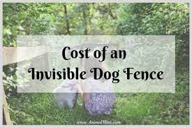 How much does invisible fence cost. How Much Does An Invisible Dog Fence Cost