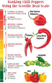 Hot Peppers Muy Caliente American Chemical Society
