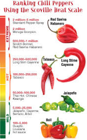 hot peppers muy caliente american chemical society