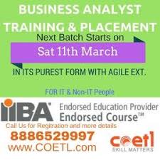Business Analyst Training And Placement Financeviewer