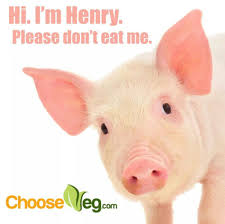 Henry The Pig Courtesy Of Mercy For Animals And Chooseveg Pig Farming Animals Pig