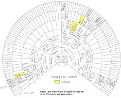 fan charts