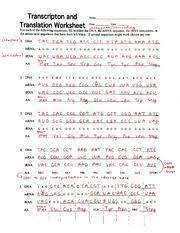 Biology corner reading worksheet answer key.docx. Biology Transcription And Translation Worksheet Worksheets Are Definitely The Backbone To Pupils L In 2021 Transcription And Translation Biology Worksheet Worksheets