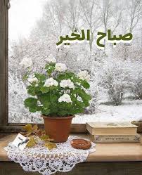 ويخبرنا الصباح أن كل شيء تتعاقب عليه المواسم والفصول إلا القلوب النقية Good Morning Arabic Fake Flower Arrangements Islamic Inspirational Quotes