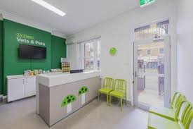Veterinary Interior Design Vet Clinics And Hospital Construction Pet Care Consultation Room Design Clinic Interior Design Vet Clinics Pet Clinic