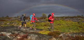 Maybe you would like to learn more about one of these? Bivouacking How To Sleep Under The Stars Without Tent Tatonka