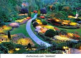 The butchart gardens is a group of floral display gardens in brentwood bay, british columbia, canada, located near victoria on vancouver isl. Summer Garden Lighting Butchart Gardens Victoria Stock Photo Edit Now 56646667