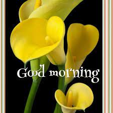 Good Morning Good Morning Life Flower Garden